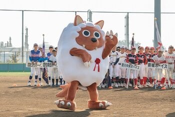 今年もウルフィが始球式に登場！小学生の硬式野球「ウルフィキャラバン少年野球大会」～メ～テレは夢を追う球児を応援します～
