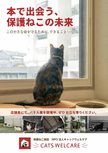 【大阪】「本で出会う、保護ねこの未来」―保護猫活動の現状と猫との暮らしを考えるパネル展、および関連書籍販売イベントを、ジュンク堂書店 難波店にて開催します