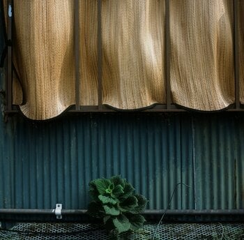 アイデムフォトギャラリー［シリウス］山崎 雅子　写真展「おちこち-日本の情景＃1-」  期間：2025年12月11日（木）～12月17日（水）