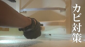 【注意】猛暑×梅雨で“カビ爆増”！？「肺炎」リスクもプロに学ぶ正しい対策　家に潜むカビとNG行動