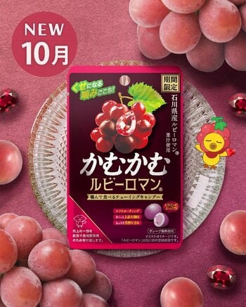 石川県産高級ぶどう「ルビーロマン(R)」の芳醇な甘みご好評につき再発売！「かむかむルビーロマン(R)」2026年10月5日(月)より全国で期間限定発売
