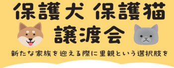 保護犬・保護猫の譲渡活動が拡大中！2026年７月綿半店舗開催の譲渡会スケジュールが決定！