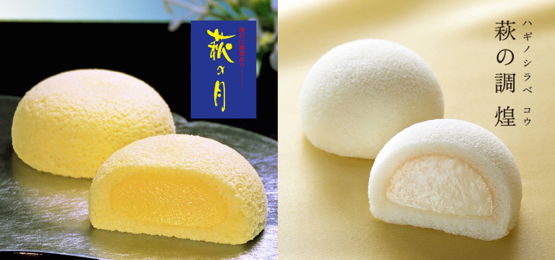 菊花石　★春の祭典フェア価格 8/1（金）20：00からS席先行販売】 煌苺きらら生誕祭チケット