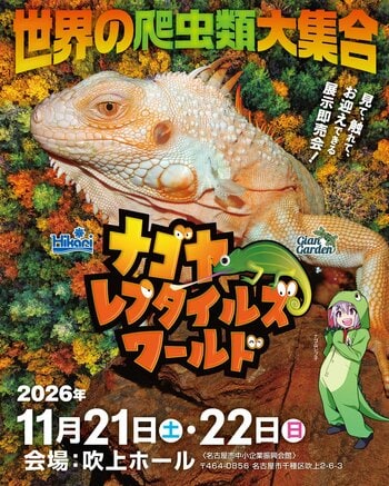 世界の爬虫類・両生類が吹上ホールに大集合！『ナゴヤレプタイルズワールド2026』前売チケット9月30日(水)より発売開始！