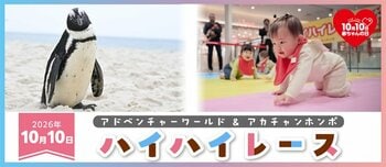 １０月１０日「赤ちゃんの日」　ペンギンのよちよち歩きが開会宣言！？「アドベンチャーワールド＆アカチャンホンポ」ハイハイレース初開催！～アニマルウェアを着た赤ちゃん２５組が大奮闘～