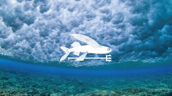 パタゴニア、次の50年に向けた一歩 - サーフストア3店舗がウォーター・ピープルのための拠点へ