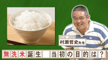 無洗米が開発された目的は？『ネプリーグ』で放送の＜豆知識＞