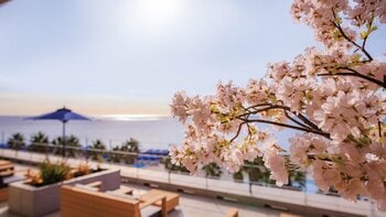 【大磯プリンスホテル】一足早く桜が彩るSPAで、心身を解き放つ“お花見ととのい体験”へ。『OISO 桜咲く季(とき) 2026』を開催
