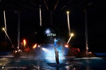 夕暮れにざわめくサファリ、夜に愛が爆発するナイトマリンライブ。夏季限定「ナイトLIVE！アドベンチャー」開催！