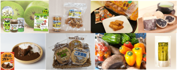 再エネ連携自治体交流物産展を横浜市役所アトリウムで開催！