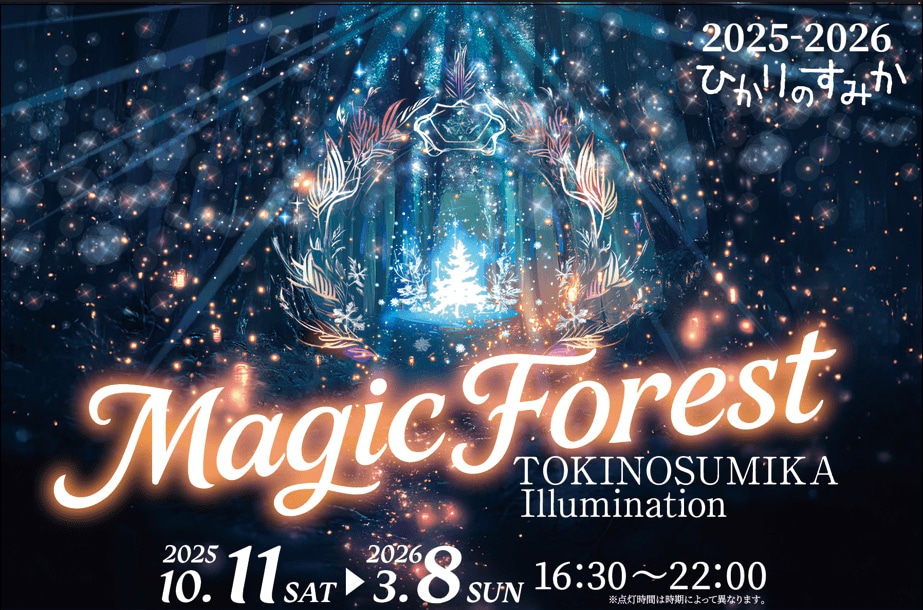 550万球の光が織りなす幻想。時之栖イルミネーション2025-2026