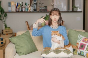 柏木由紀主演！仕事×恋愛×ちょいブサ猫 癒し系・もふもふラブコメディを映像化 土ドラ特別企画『元カレの猫を、預かりまして。』
