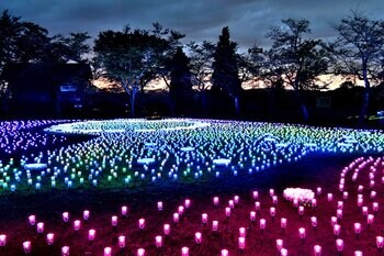 【新潟県小千谷市】イルミネーションイベント「オヂヤホタル2026～ OJIYA HOTARU illumination～」を実施します（夏季：8月18日～）