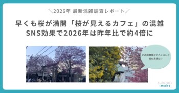 【混雑調査レポ】東京の桜スポット・蔵前神社「早咲き桜×ミモザ」が見頃周辺おしゃれカフェの混雑、2026年は昨年比で約4倍に