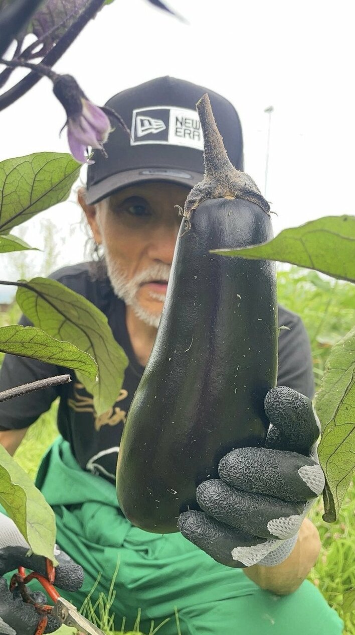 片岡鶴太郎 本格自家農園で収穫する様子を公開！愛情を込めて育てた夏