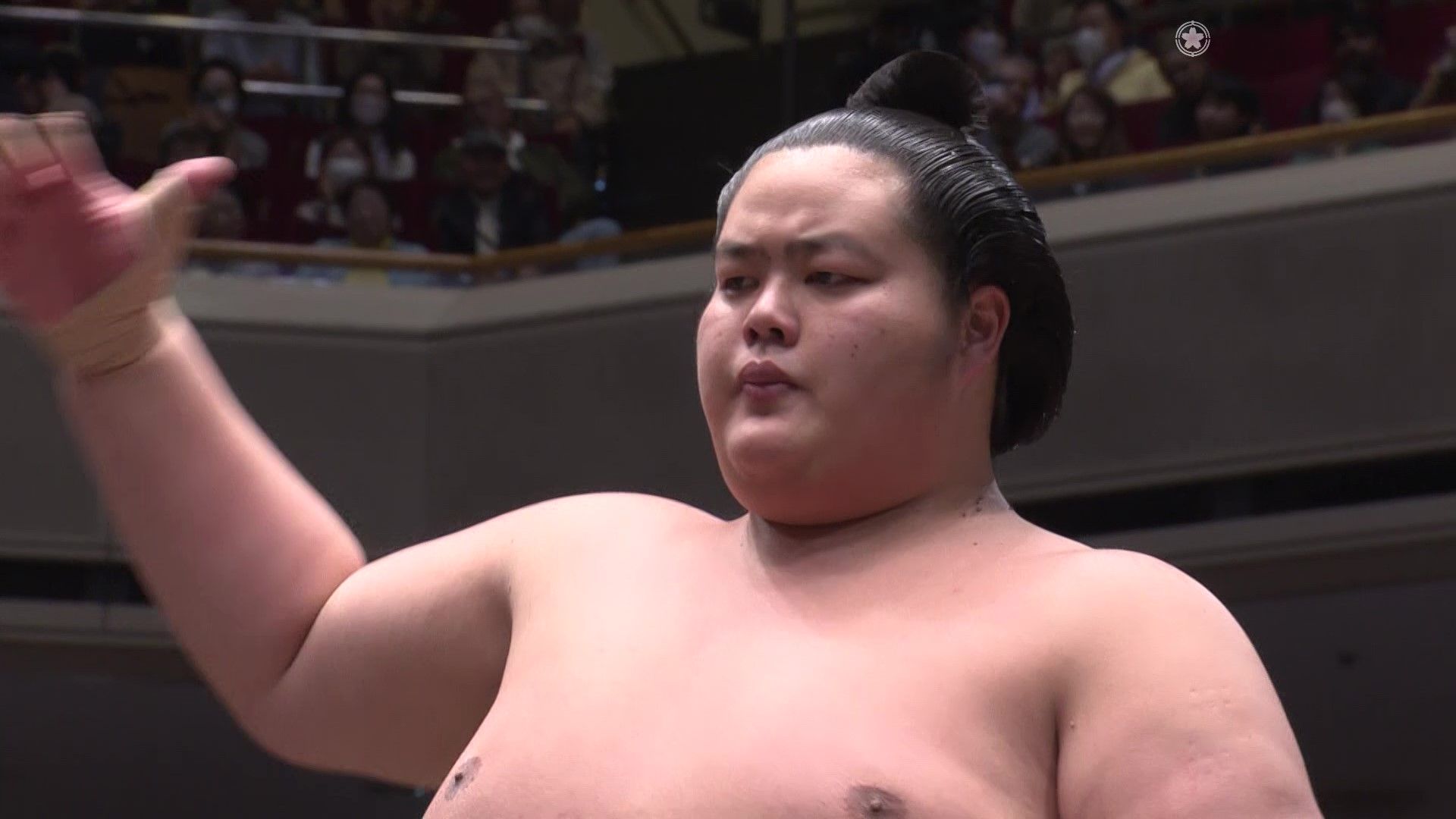 琴ノ若が新大関として臨む「日本大相撲トーナメント第48回大会」放送