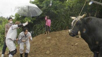 FANTASTICSが「かっこいい闘牛のあおりVTR」作りに挑戦！