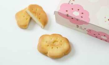 和菓子になった、テキスタイルデザイン