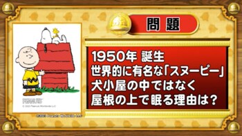 ＜『脳ベルSHOW』クイズ＞スヌーピーが犬小屋の屋根の上で眠る理由は？