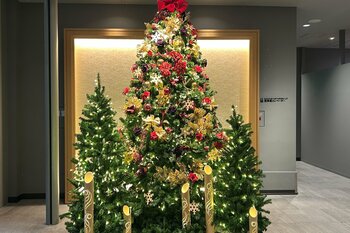 【WHG新宿（新宿ワシントンホテル／ホテルグレイスリー新宿）】植林活動に貢献「クリスマスチャリティーオーナメント」を数量限定で販売　鉄板焼で味わう贅沢なクリスマスディナーコースも予約受付中