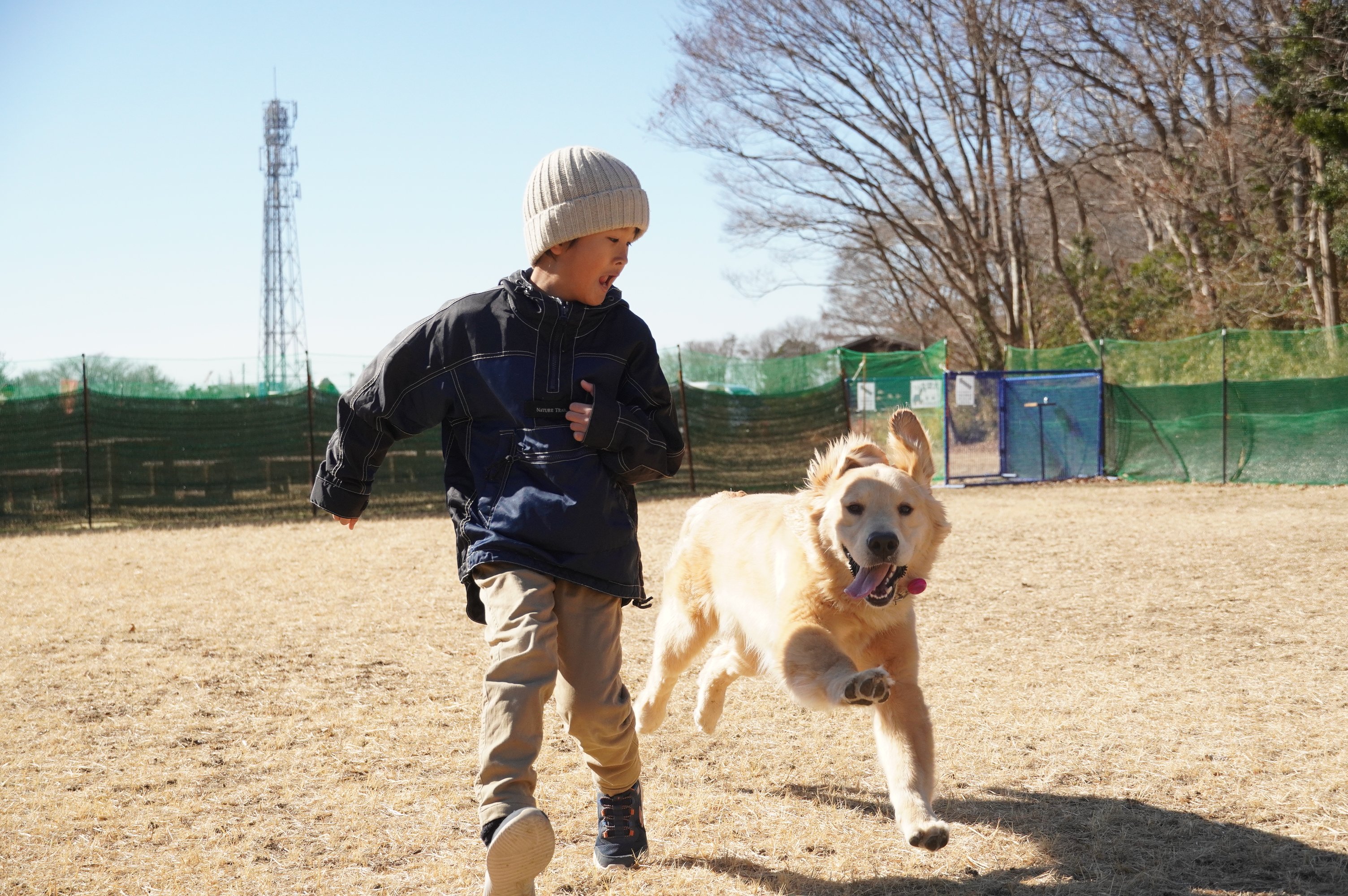 犬園 期間限定の特設ドッグランをオープンします（国営ひたち海浜公園