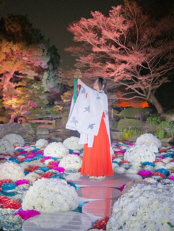 『浮花』-Fuka- 2026.4.1 START