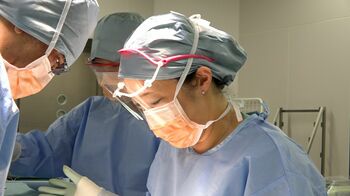 『PICU 小児集中治療室』で医療監修担当 小児外科医・渡邉佳子に密着