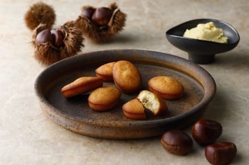 【チーズガーデン】ブランド和栗「笠間の栗」の上品な香りと甘みを包み込んだ豊かな味わい　秋の味覚を楽しむ『マロンフィナンシェ』2026年10月7日（水）発売