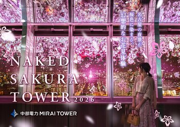 【中部電力 MIRAI TOWER】名古屋の夜景×桜のアートを楽しむ、幻想的な夜のお花見体験