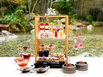 【尼崎・楽書院】広大な日本庭園と水音に包まれる別世界。春限定「苺と桜花のアフタヌーンティー」で心を整える特別なひとときを。