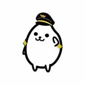 トキエア、初の新潟空港↔コウノトリ但馬空港のチャーター便を運航