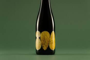 世界初！現代日本酒技術をベースに、国産大麦100%で醸す《純麦酒》誕生。LINNEと焼酎蔵・天盃が共創し、麹の可能性を世界にひろげる【12月11日発売】