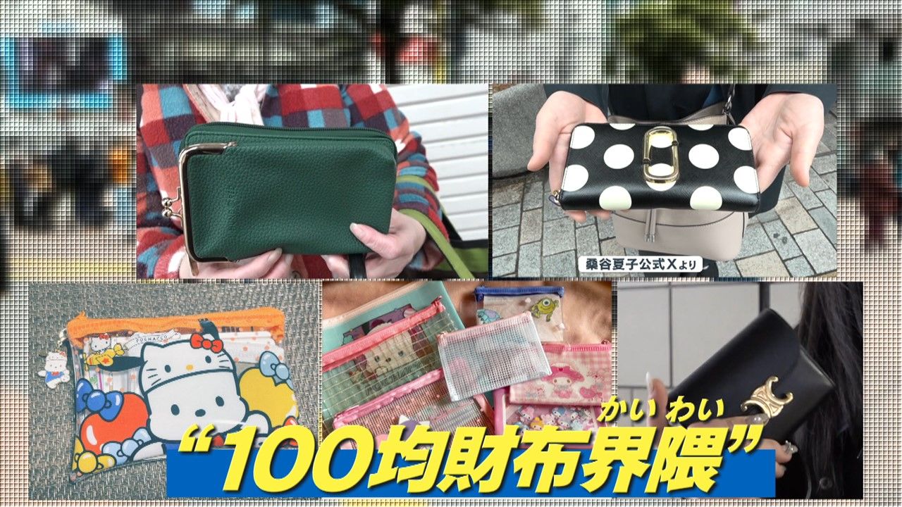 100 均 財布 代わり