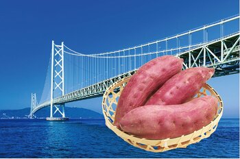 秋の味覚を楽しむ「おいもフェア」開催のお知らせ～鳴門金時を中心に、秋の恵みを集めました～明石海峡大橋渡ってスグ！　“淡路ハイウェイオアシス”内、約1300種のお土産物が揃う「淡路物産館」で開催！