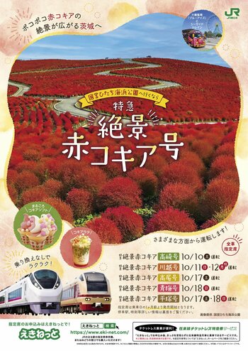 【2026年秋】特急「絶景赤コキア号」で国営ひたち海浜公園へ！コキアやコスモス、那珂湊グルメも満喫