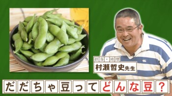 「だだちゃ豆」の“だだちゃ”とは？『ネプリーグ』で放送の＜豆知識＞