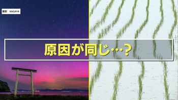 【異変】真っすぐなはずの田植えの列に“ずれ”出現 オーロラと同じ「太陽フレア」の影響か？