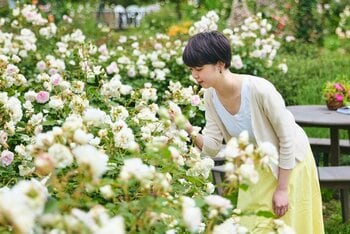 【一年でもっとも園内が華やぐ季節】900品種9,000株の春バラがいっせいに咲き誇る『春バラフェア～バラに囲まれる時間』5月上旬より開催！