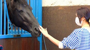 芸能で培った求心力や発信力を牧場経営で発揮！紗栄子の“7つのルール”