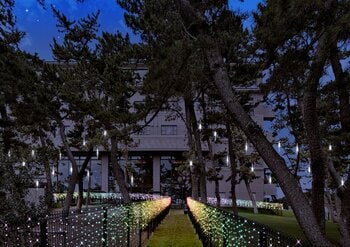 愛犬と過ごす夜に、新たな楽しみを。屋外ドッグランにイルミネーションを展開