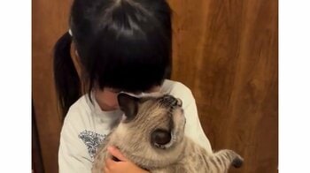 「タイミングバッチリ」にゃんこが女の子にギュッ！尻尾フリフリ＆ほっぺたスリスリ“熱烈歓迎”なお出迎えに「愛おしいの渋滞」【激かわキッズ＆アニマル奇跡の瞬間】