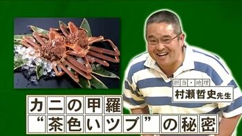 カニの甲羅についている茶色いツブツブで味がわかる！？このツブツブの正体とは？