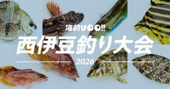 ユニークな釣り大会「海釣りGO 西伊豆釣り大会2026」を開催