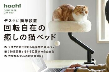 【新商品】なぜ猫はキーボードに乗るのか、その答えから生まれた猫ベッド