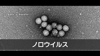 ノロウイルス 全国で“集団感染”が相次ぐ…冬に要注意！低温や乾燥に強く少量でも感染する恐れ