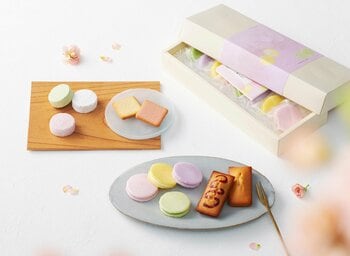 四季菓子の店HIBIKA（ひびか）は、3月1日(日)より“春の四季菓子”を販売いたします。