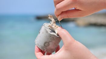 【イラフ SUI ラグジュアリーコレクションホテル 沖縄宮古】宮古ブルーの美しい海を未来へ繋ぐ「サンゴ苗付け体験」を開催