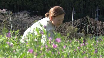 “野山に咲く花だけを売る”「花屋みたて」店主・西山美華にセブンルールが密着！長濱ねるの“カーネーションの選び方”とは？