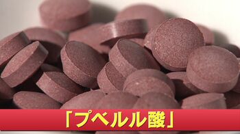 【小林製薬 紅麹問題】謎多き「プベルル酸」とは？研究ない・毒性高い…専門家「究明には３カ月から６カ月」