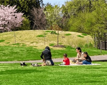 【サンクゼールの丘、4月18日（土）リニューアルオープン】天気のいい日は手ぶらピクニック、雨の日はカフェでゆったり～Country Comfort～田舎の豊かさをご提供